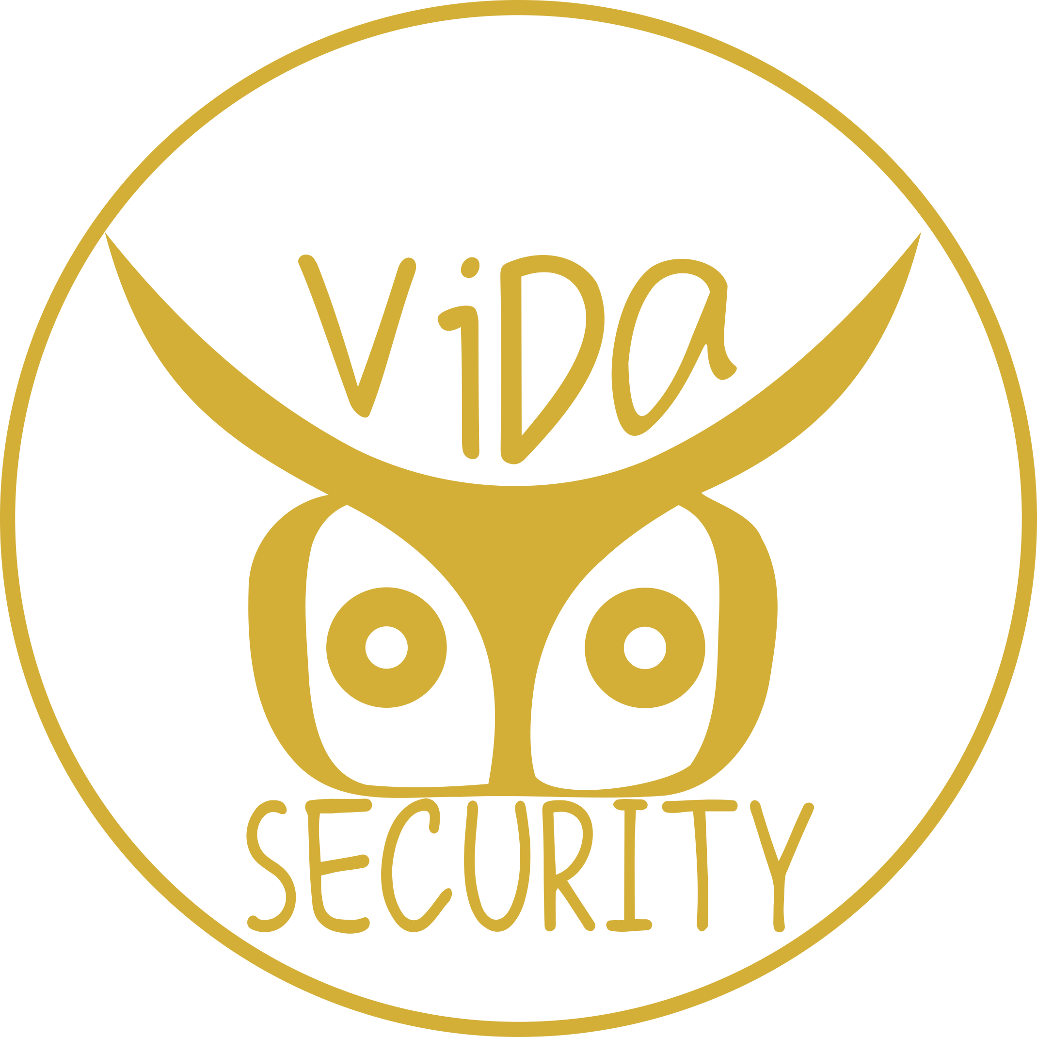 vidasecurity.xyz - NYC Security For Events - Nightlife, birthdays, bars ...